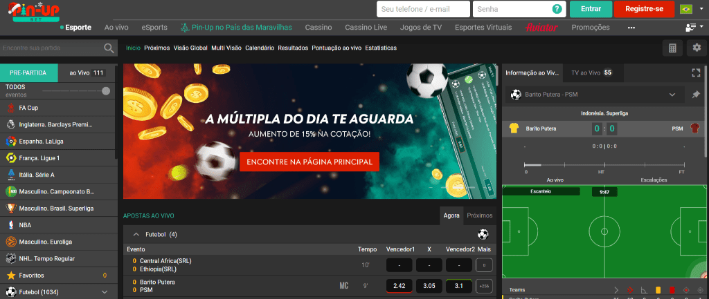pin up bet Brasil - Local na rede Internet